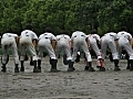 全九州・宮崎県大会