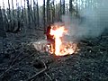 Raw video: Iron horse fire scorches land in Volusia County