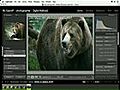 Adobe Photoshop Lightroom - How to Export and Share Images