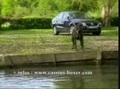 Baywatch movie video - Cassius Chien Boxer Dog