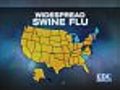 Swine Flu: A Nightly News Update