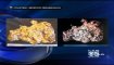 Doubts Raised About Huge NorCal Gold Discovery