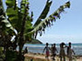 Haiti: Mangrove Protection