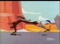 Road Runner & Wile E Coyote  - Shot And Bothered 36/43