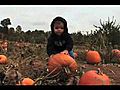 Jon & Kate Plus 8: Ten Little Pumpkins