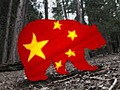 Challenging The China Bears