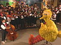 Big Bird Conducts Mariachi