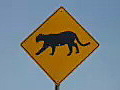 Royalty Free Stock Video HD Footage Close Up of a Panther Crossing Warning Sign at the Entrance to Everglades National Park in Florida