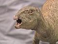 Pint-sized Dinosaur Discovered