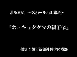 〈北極異変〉ホッキョクグマ２