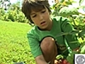 Farm camp brings kids in touch with their food