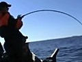 Sea Fishing In Northern Norway