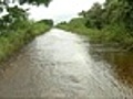 Chuva se concentra nas regiões Norte e Centro-Oeste do país