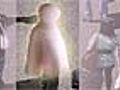 Invisible Cloak Almost Reality