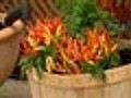 Create a container garden