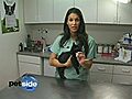 How To Prevent Fleas On Your Dog Or Cat