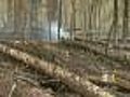 Weather Helps Out At Church’s Park Fire