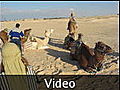 Loudish camel video - Douz, Tunisia