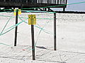 Jeff Corwin Reports from the Gulf: Protecting Sea Turtle Nests