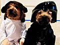 America’s Cutest Dog 2010: Star Wars Pooches