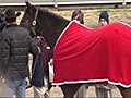 Famous Horse arrives at Tulsa Boys Home