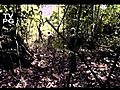 Rio Monstruo - Jungle Killer