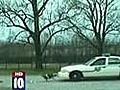 Video: Dog Chews Off Cop Car Bumper