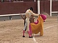 Brillan los capotes en la Corrida de Beneficencia de Las Ventas