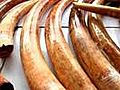 Thai customs seize 2 tonnes of ivory