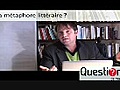 La métaphore littéraire ?