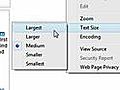 How to Modify Text Size in Internet Explorer