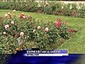 Gardening tips from the folks at Boerner Botanical Gardens