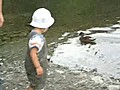 大正池で遊ぶ鴨