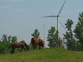 Town uses wind power