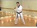 Olympic Taekwondo Fighting Stance and Foot Work