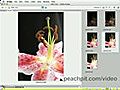 How to Wow: Best of Photoshop CS2 with Jack Davis