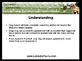 Avoid Punishment In Labrador Training