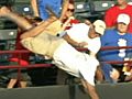 Texas Rangers Fan Dies After Trying to Catch Ball