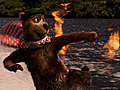 &#039;Yogi Bear&#039; Razzle Dazzle