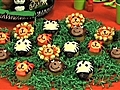 Howdini - How to Make Jungle Animal Cupcakes