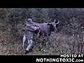 Russian Hunter Shoots Moose From 2 Inches Away