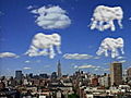 Elephants In The Clouds