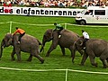 Elephant Race