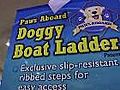 Small Business Stories - Paws Aboard