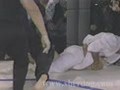 royce gracie vale tudo