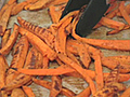 Healthy Sweet Potato Fries