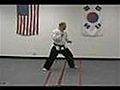 Hapkido: White Belt Stances