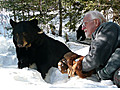 Bearwalker of the Northwoods