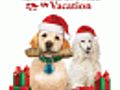 The Dog Who Saved Christmas Vacation