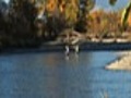 Two men fly fishing